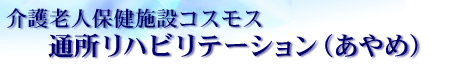 介護老人保健施設コスモス 通所リハビリテーション(あやめ)