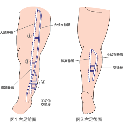 図1.右足前面/図2.右足後面